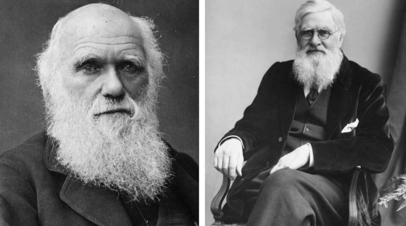 Darwin’i popüler yapan sömürgeci bilim politikası